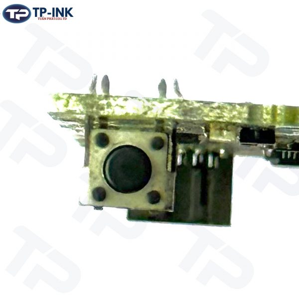 card2900thaomay_1_tuanphat
