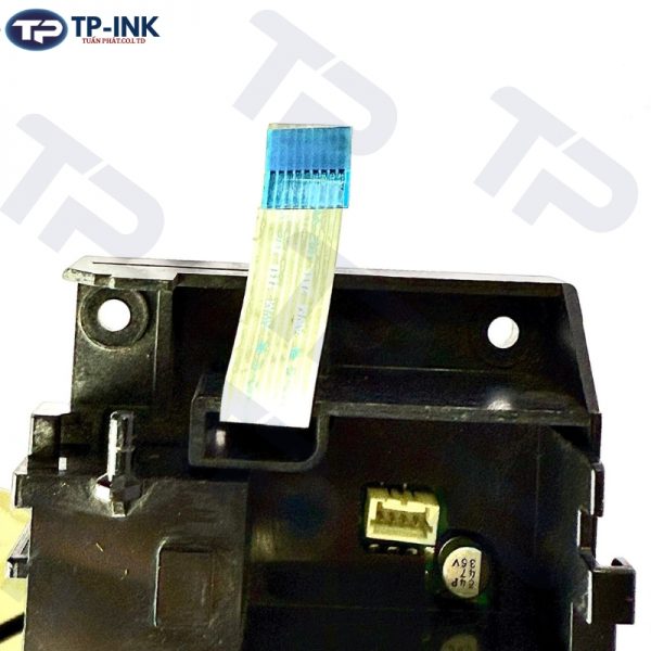 hopquang2900_1_tuanphat