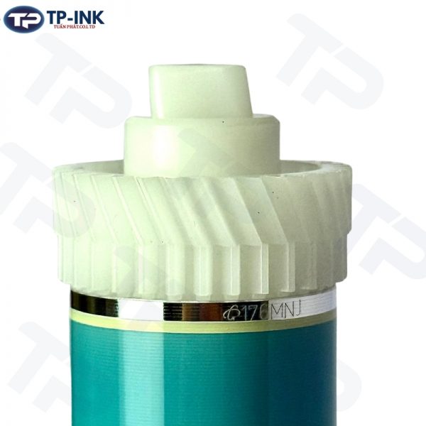trong15a_1_tuanphat
