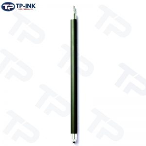 tructu12a_1_tuanphat
